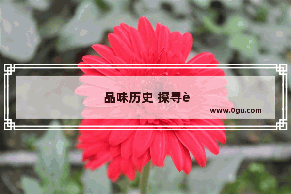 品味历史 探寻蜂窝饼的前世今生