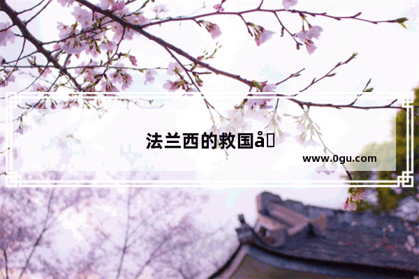 法兰西的救国圣女——贞德