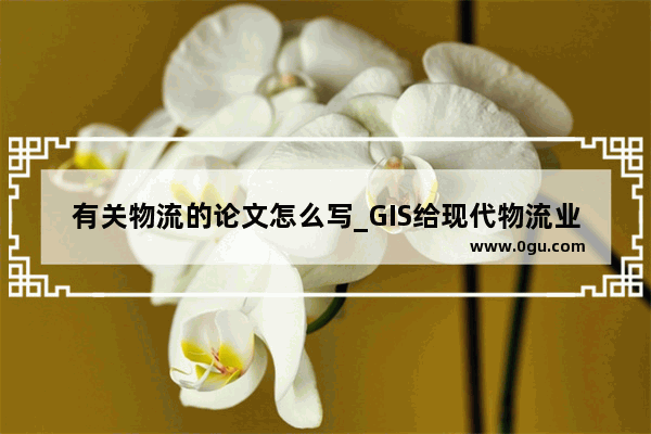有关物流的论文怎么写_GIS给现代物流业的发展带来的影响