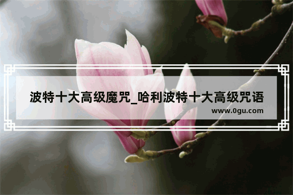 波特十大高级魔咒_哈利波特十大高级咒语