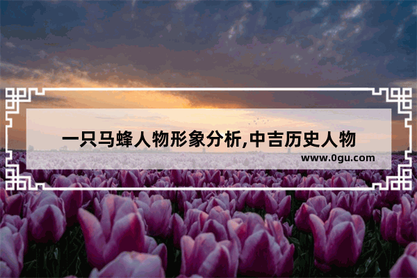 一只马蜂人物形象分析,中吉历史人物