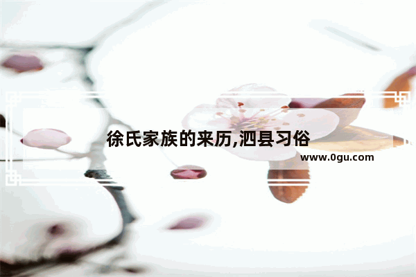 徐氏家族的来历,泗县习俗