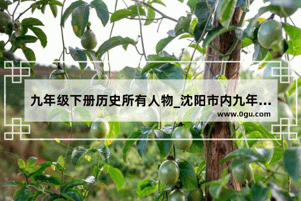 九年级下册历史所有人物_沈阳市内九年级用的教材版本