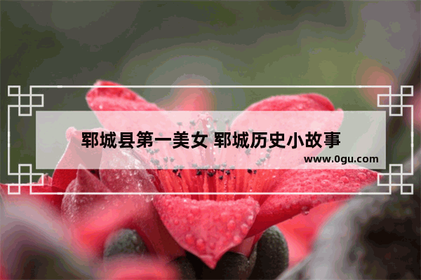 郓城县第一美女 郓城历史小故事
