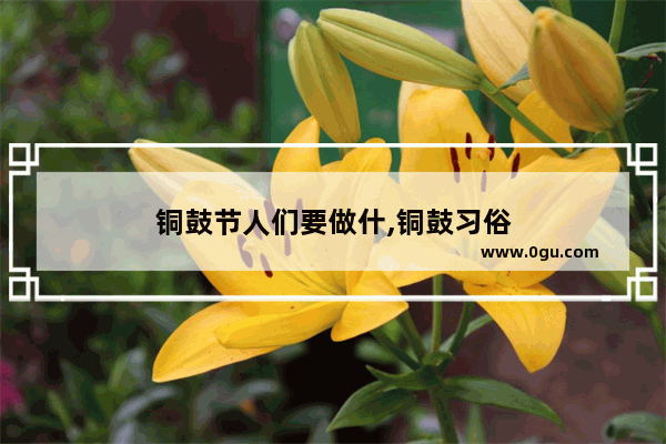 铜鼓节人们要做什,铜鼓习俗