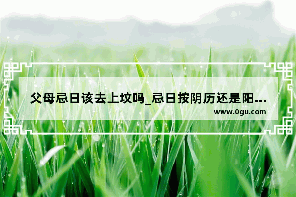 父母忌日该去上坟吗_忌日按阴历还是阳历算