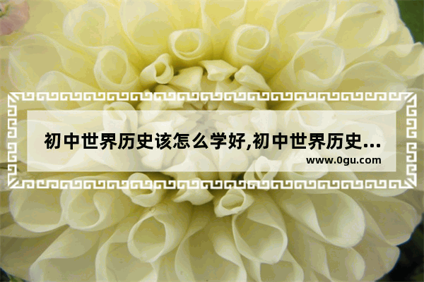 初中世界历史该怎么学好,初中世界历史该怎么学好