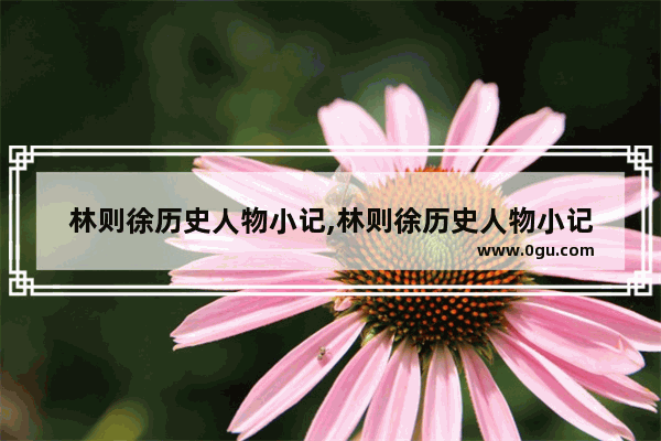 林则徐历史人物小记,林则徐历史人物小记