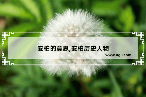 安柏的意思,安柏历史人物