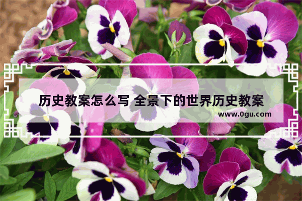 历史教案怎么写 全景下的世界历史教案