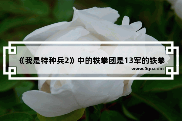 《我是特种兵2》中的铁拳团是13军的铁拳旅吗 149团历史文化