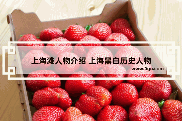 上海滩人物介绍 上海黑白历史人物