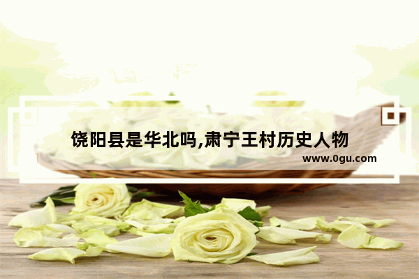 饶阳县是华北吗,肃宁王村历史人物