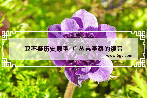 卫不疑历史原型_广丛弟李蔡的读音