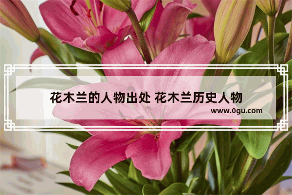 花木兰的人物出处 花木兰历史人物