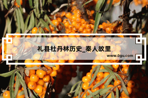 礼县杜丹林历史_秦人故里