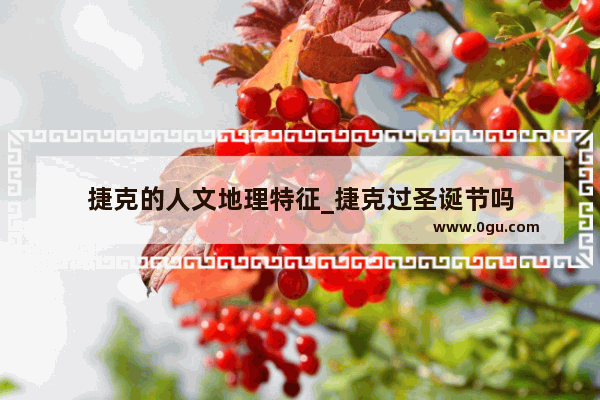 捷克的人文地理特征_捷克过圣诞节吗