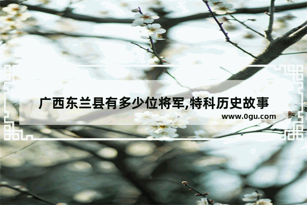 广西东兰县有多少位将军,特科历史故事