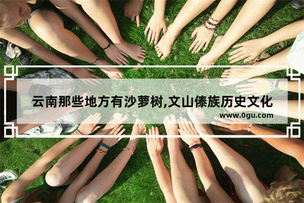 云南那些地方有沙萝树,文山傣族历史文化