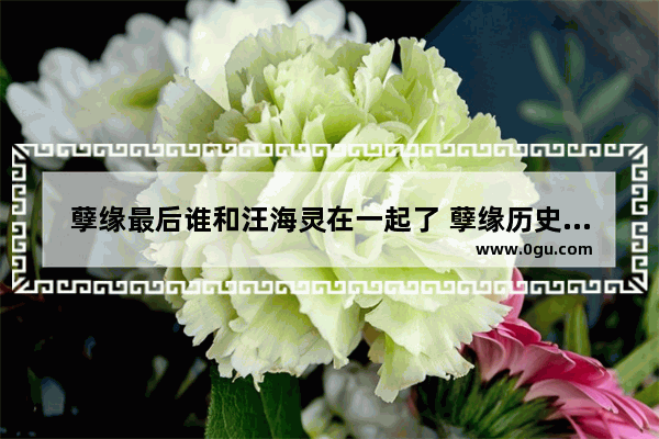 孽缘最后谁和汪海灵在一起了 孽缘历史人物