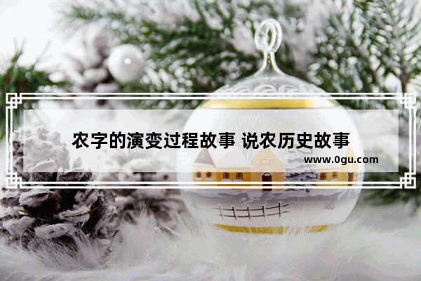 农字的演变过程故事 说农历史故事