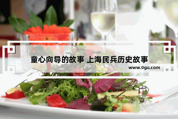 童心向导的故事 上海民兵历史故事