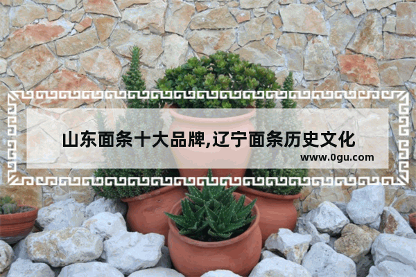 山东面条十大品牌,辽宁面条历史文化