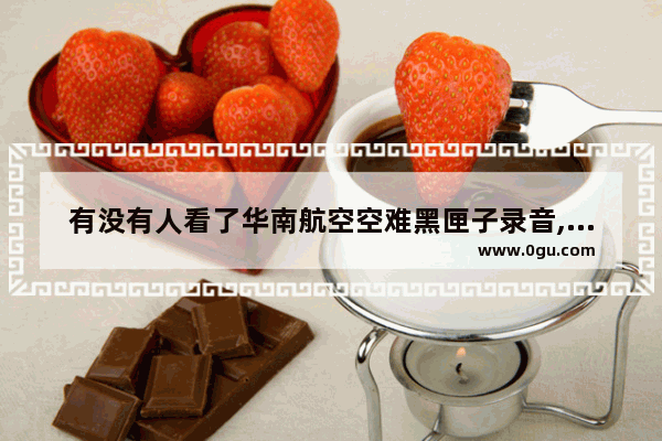 有没有人看了华南航空空难黑匣子录音,中国历史空难语音