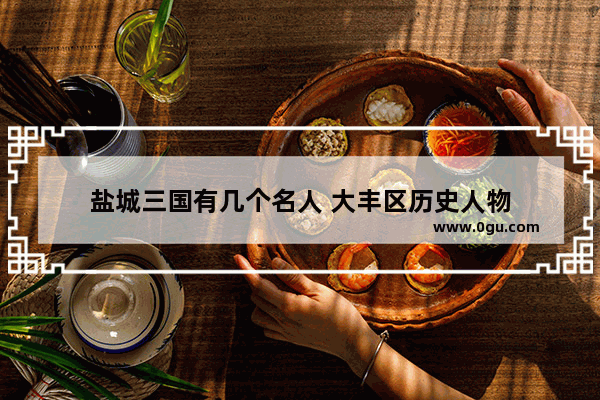 盐城三国有几个名人 大丰区历史人物