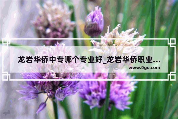 龙岩华侨中专哪个专业好_龙岩华侨职业中专学校是公办的吗