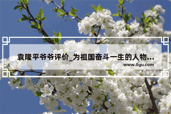 袁隆平爷爷评价_为祖国奋斗一生的人物的评价