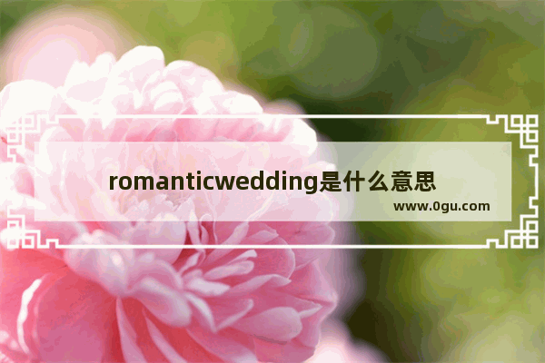 romanticwedding是什么意思_婚礼习俗英文