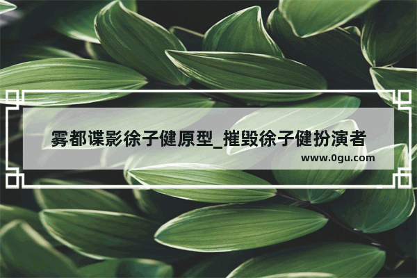 雾都谍影徐子健原型_摧毁徐子健扮演者