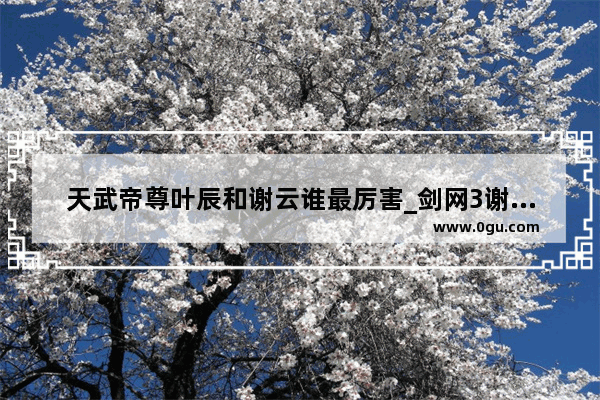 天武帝尊叶辰和谢云谁最厉害_剑网3谢云流是怎么离开纯阳的