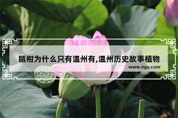 瓯柑为什么只有温州有,温州历史故事植物