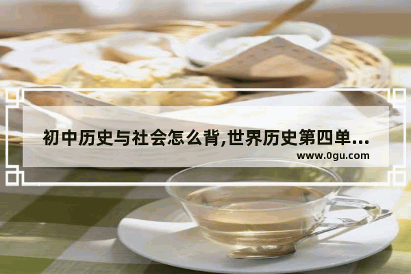 初中历史与社会怎么背,世界历史第四单元思维图