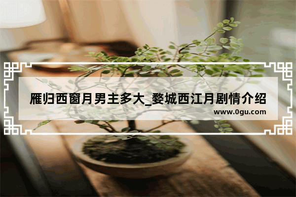 雁归西窗月男主多大_婺城西江月剧情介绍