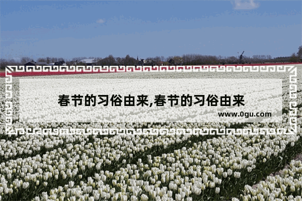 春节的习俗由来,春节的习俗由来