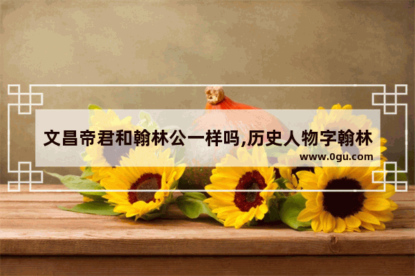 文昌帝君和翰林公一样吗,历史人物字翰林