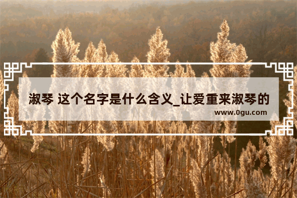 淑琴 这个名字是什么含义_让爱重来淑琴的结局