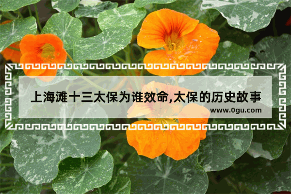 上海滩十三太保为谁效命,太保的历史故事