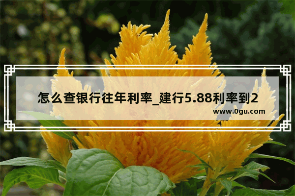 怎么查银行往年利率_建行5.88利率到2023年会降到多少