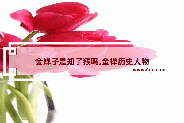 金蝉子是知了猴吗,金禅历史人物