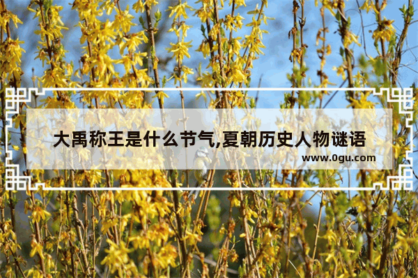 大禹称王是什么节气,夏朝历史人物谜语