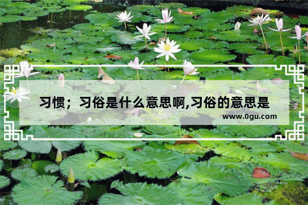 习惯；习俗是什么意思啊,习俗的意思是