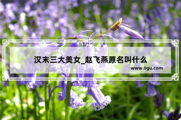 汉末三大美女_赵飞燕原名叫什么