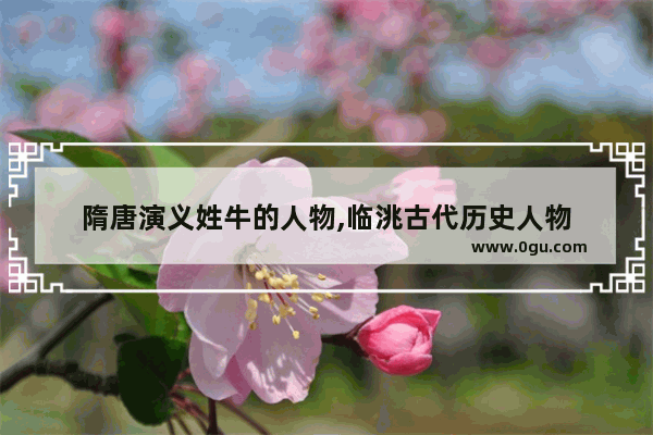 隋唐演义姓牛的人物,临洮古代历史人物