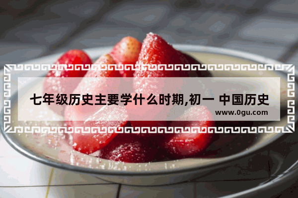七年级历史主要学什么时期,初一 中国历史