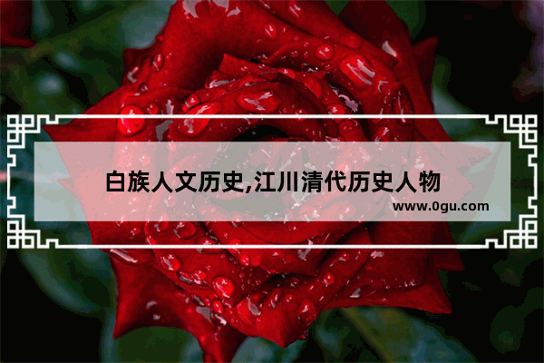 白族人文历史,江川清代历史人物