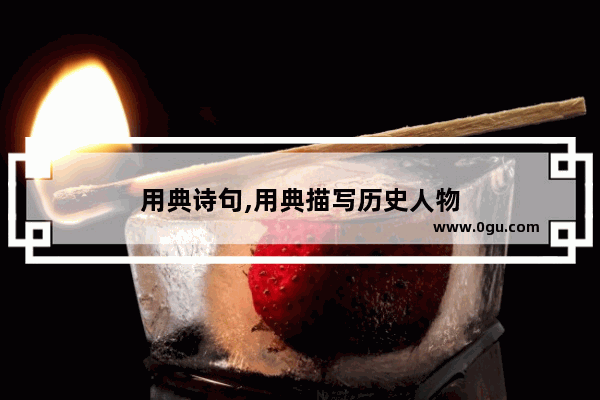 用典诗句,用典描写历史人物